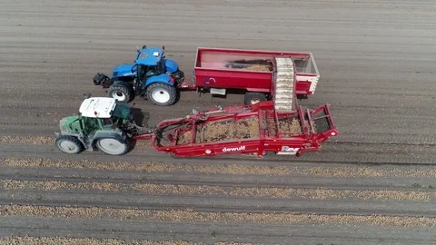 Harvesting Onions  dutch agriculture part three Vidéo gratuite 78796085