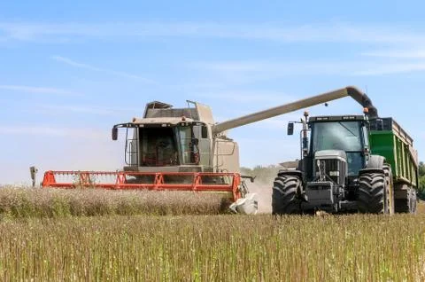 Harvesting Stock Photos
