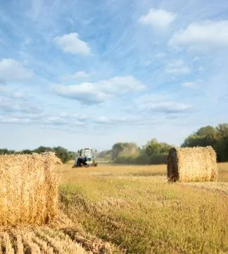 Harvesting Stock Photos