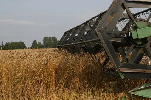 Harvesting Stock Photos