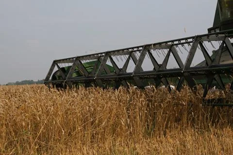 Harvesting Stock Photos