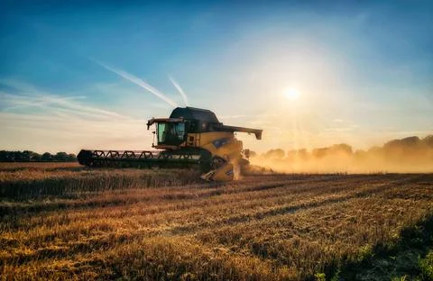 Harvesting Stock Photos
