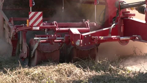 Harvesting of potatoes Stock Footage 223819754