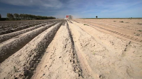 Harvesting potatoes using by a modern potato harvester Stock Footage 61530352