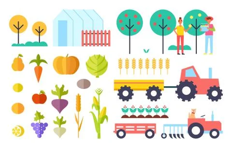 Harvesting Process Vegetables Vector Illustration Ilustración de archivo