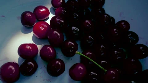 Harvesting red cherries in summer Stock Footage 337664212