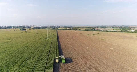 Harvesting of sillage corn. Stock Footage 157495042