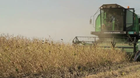 Harvesting Soybeans 2 Stock Footage 8688262