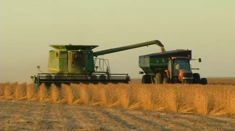 Harvesting soybeans-2 Vídeo Stock 10826260