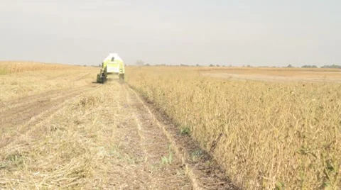 Harvesting Soybeans 3 Stock Footage 8688296