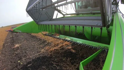 Harvesting soybeans, a close-up of the header Stock Footage 158149176