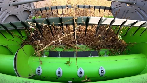 Harvesting soybeans, a close-up of the header Stock Footage 158149442