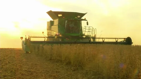 Harvesting Soybeans Combine-D Stock Footage 80354856