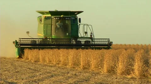 Harvesting soybeans with a combine Stock Footage