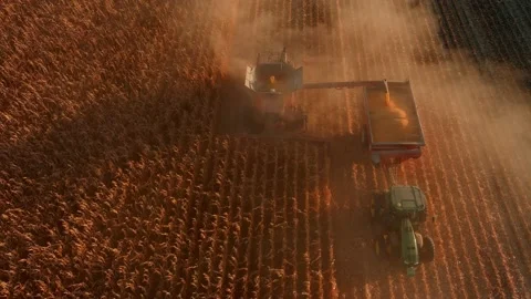 Harvesting Soybeans at Dusk Stock-Footage 163476027