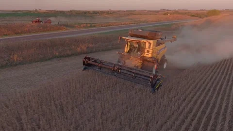 Harvesting Soybeans at Dusk Stock-Footage 163825960