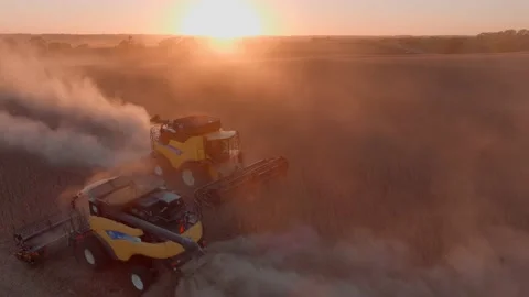 Harvesting Soybeans at Dusk Stock Footage 163825971
