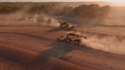 Harvesting Soybeans at Dusk Stock Footage 163826151