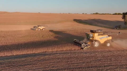 Harvesting Soybeans at Dusk Stock Footage 163826328