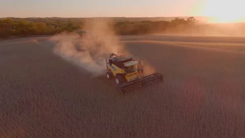 Harvesting Soybeans at Dusk Stock Footage 163826337