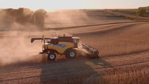 Harvesting Soybeans at Dusk Stock Footage 163826366