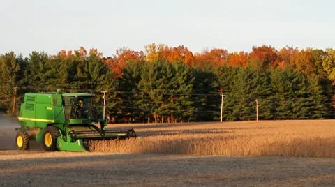 Harvesting Soybeans Vidéo 8981261