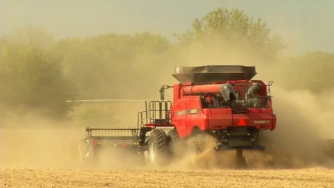 Harvesting Soybeans Stock-Footage 80604211
