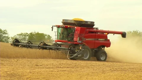 Harvesting Soybeans Stock Footage 80604748