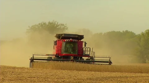 Harvesting Soybeans Stock Footage 80654059