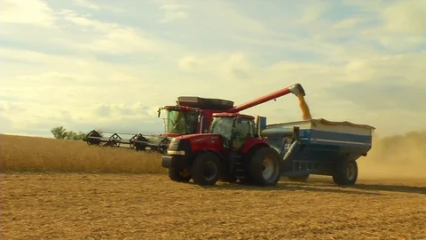 Harvesting Soybeans Stock-Footage 80654457