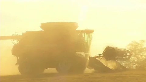 Harvesting Soybeans Stock Footage 80654888