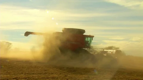 Harvesting Soybeans Stock Footage 80657935