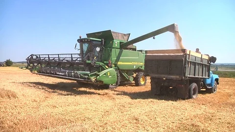 Harvesting on a storage trailer Stock Footage 88675607