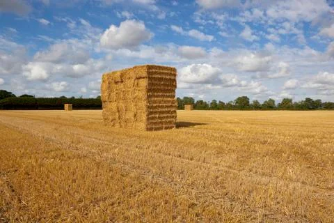Harvesting straw Stock Photos