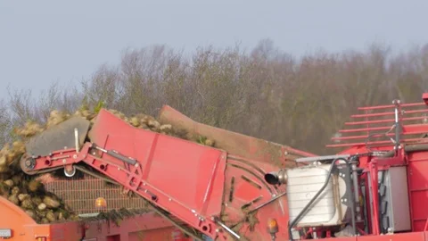 Harvesting the Sugar Beet using modern agricultural machinery Stock Footage 100589596