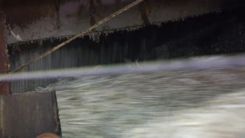 Harvesting in the summer. Sorting a large wheat crop in hot weather. Close up Stock Footage 156662097