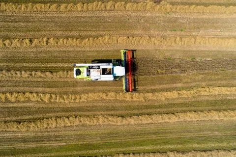 Harvesting theme Foto stock