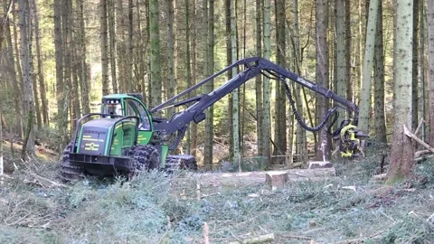 Harvesting timber for biofuel using a fo... | Stock Video | Pond5