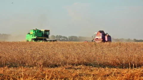 Harvesting time 動画素材 106466128
