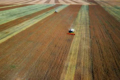 Harvesting time. Stock Photos
