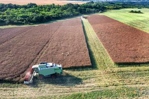 Harvesting time Stock Photos