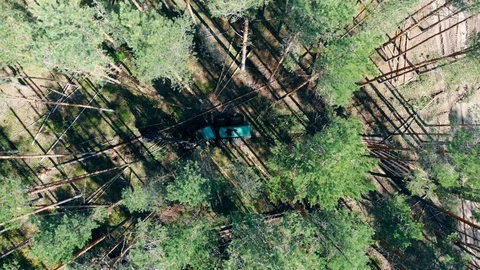 Harvesting truck is cutting trees in a top view. Forest, tree logging, aerial Stock Footage
