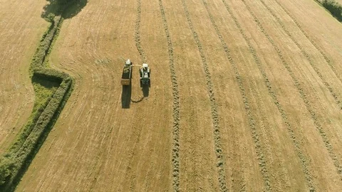 Harvesting with two tractors 스톡 동영상 75962659