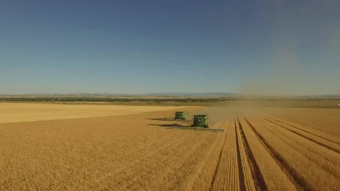 Harvesting Wheat 01 Stock Footage 101628712