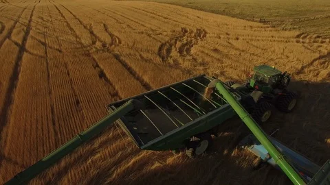 Harvesting Wheat 02 Stock Footage 101628632