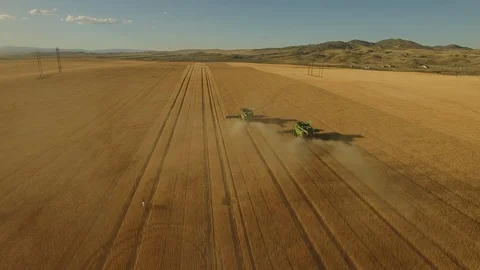 Harvesting Wheat  03 Stock Footage 101628598