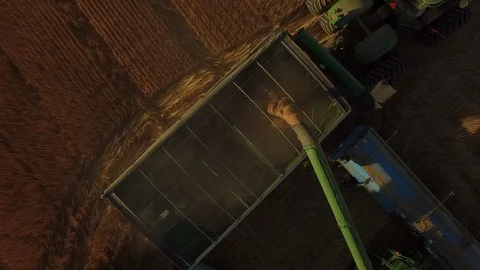 Harvesting Wheat 04 Stock Footage 101628590