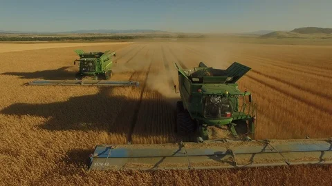 Harvesting Wheat 05 Stock Footage 101628402