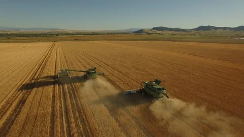 Harvesting Wheat 08 Stock Footage 101628121