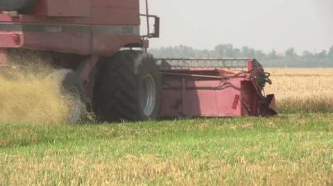Harvesting on wheat field Stock-Footage 61126751